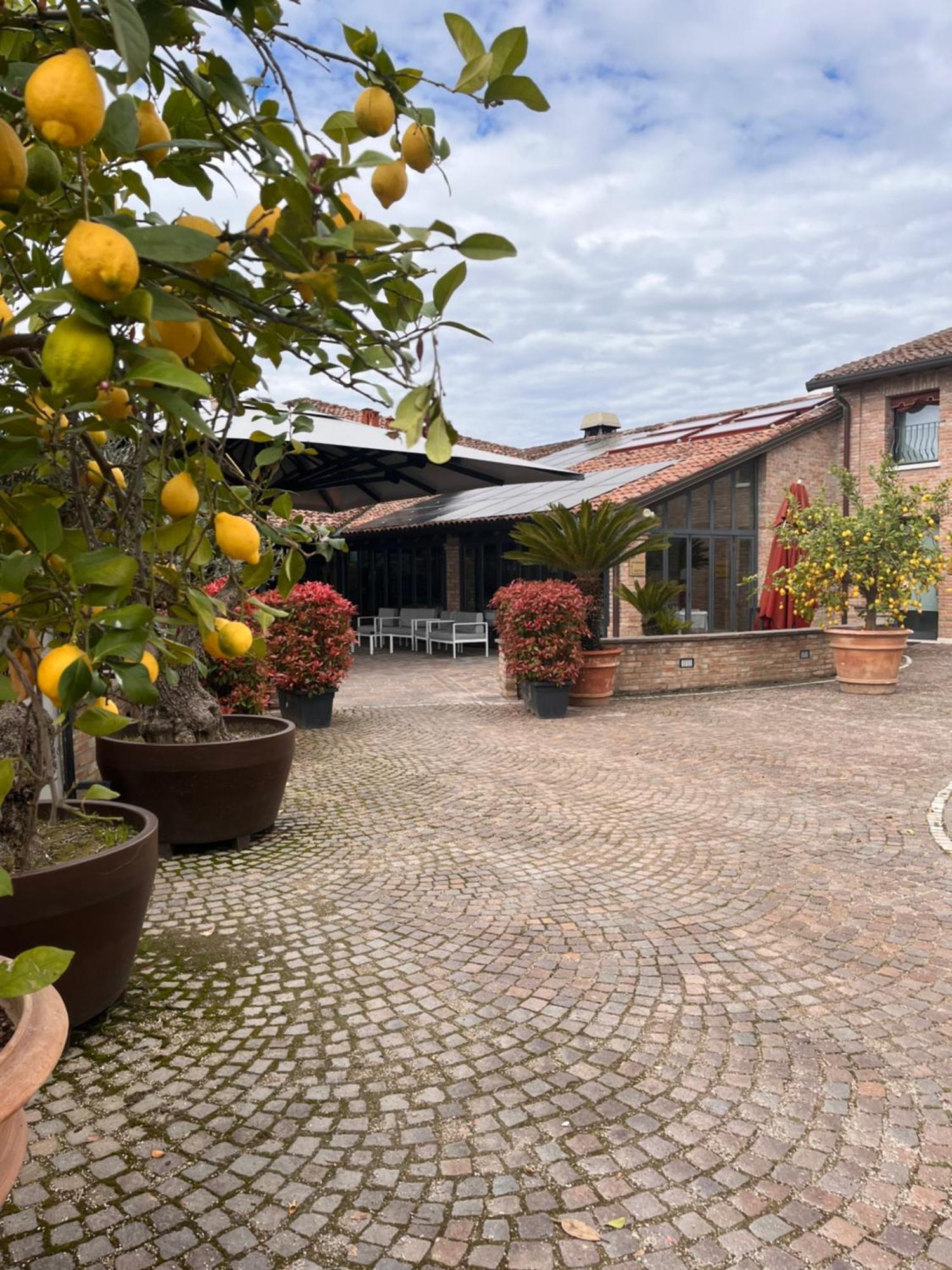 Agriturismo La Sapienza Monestirolo Exteriör bild